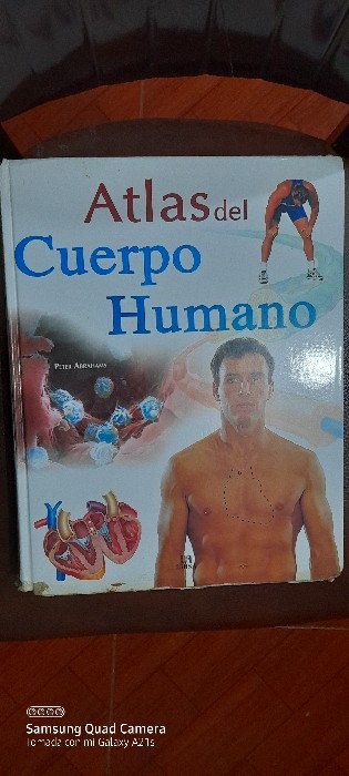 Libro de segunda mano: Atlas Del Cuerpo Humano  Atlas of the Human Body