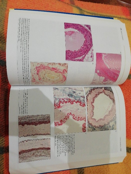 Libro de segunda mano: Atlas de histología y organografía microscópica - 3 ed.