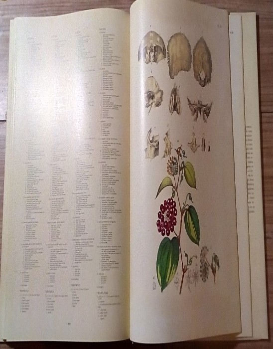Imagen 2 del libro La Medecine Pittoresque