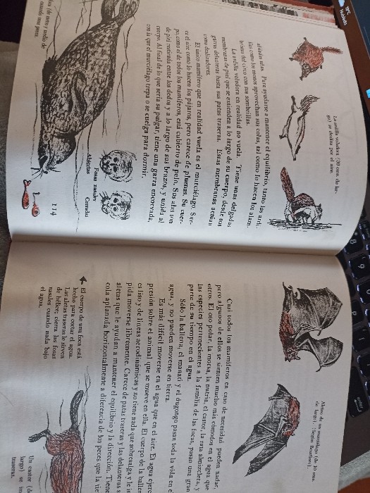 Imagen 2 del libro mis primeros conocimientos 