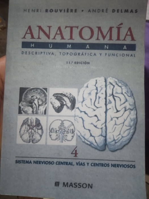 Libro de segunda mano: anatomía 