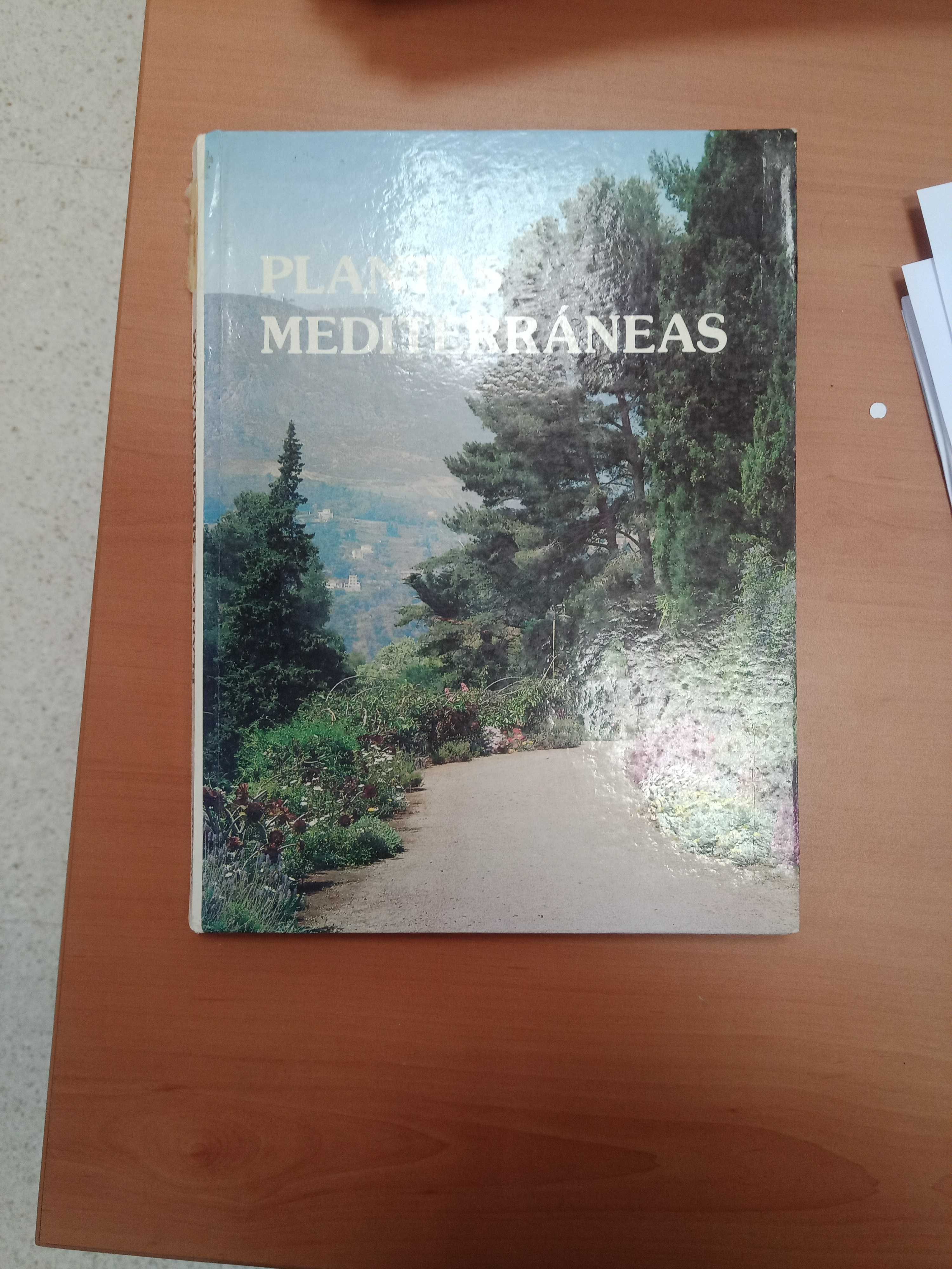 Libro de segunda mano: Plantas Mediterraneas