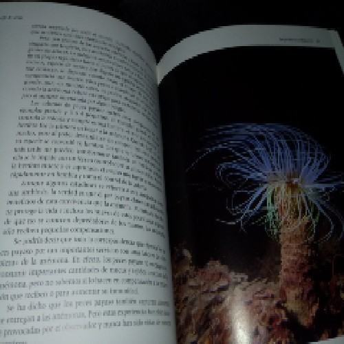 Imagen 3 del libro El arrecife de coral